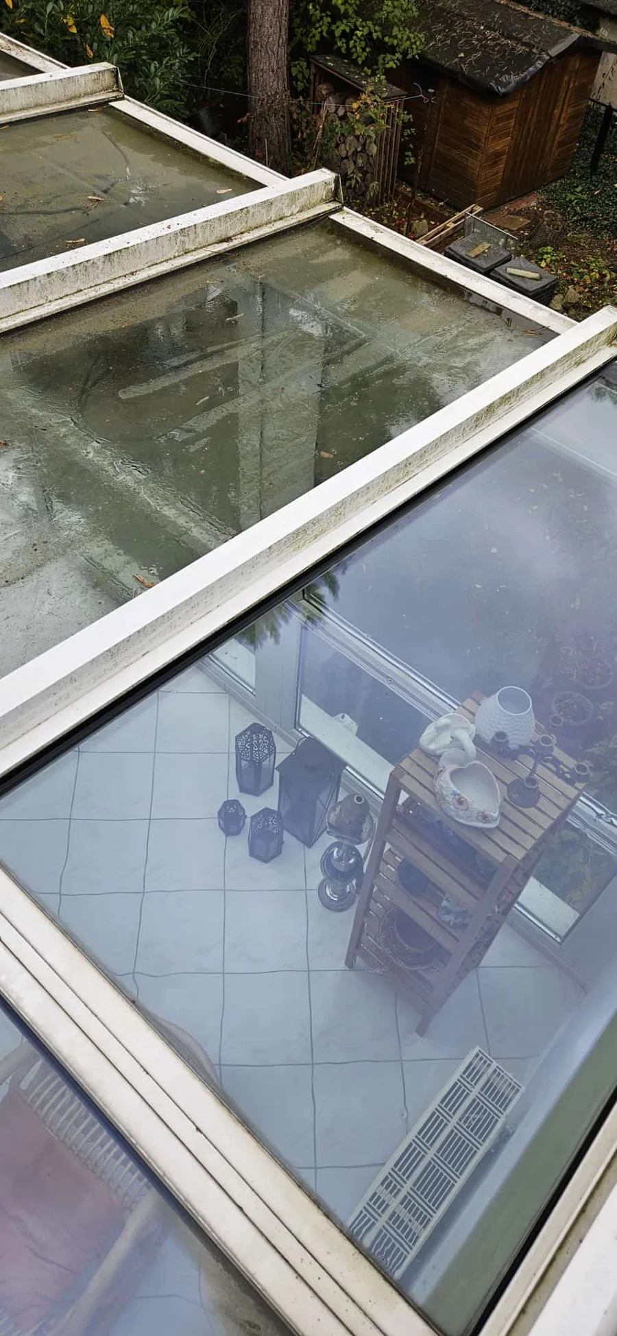 Blick durch das gereinigte Glasdach eines Wintergartens in Berlin