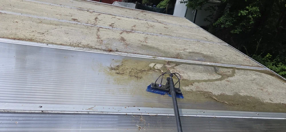 Terrassendach mit Grünbelag vor der Reinigung in Berlin